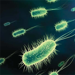 Mikroorganizmalarda Görülen Antimikrobiyal Direnç ile Mücadele