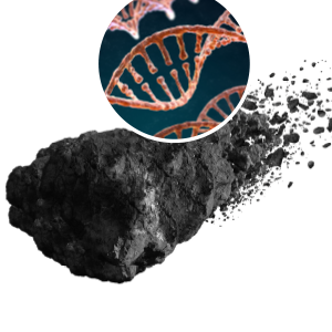 Ryugu: Dünyaya Malzeme Taşıyan Asteroid