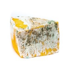 Küf Mantarlarının Genel Özellikleri ve İnsan Sağlığına Etkisi