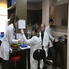 İstanbul Tıp Fakültesi  Deneysel Tıp Araştırma Enstitüsü (DETAE)