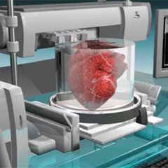 Üç Boyutlu (3D) Yazıcılar İle Tasarlanan Organlar İle Yeni Yaşamlar Mümkün Olabilir 