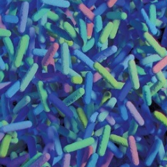 Mikrobiyota ve Kişiselleştirilmiş Tıp