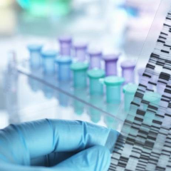 Genetik Laboratuvar Testleri Bize Ne Verir?