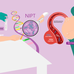 Non İzvaziv Prenatal Test (NIPT) 